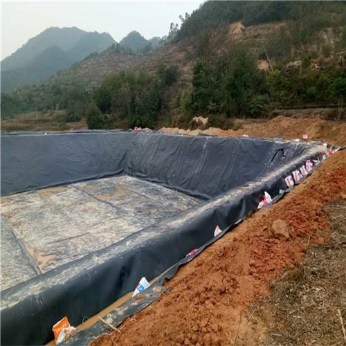 您了解魚塘防滲膜施工方法有哪些嗎？