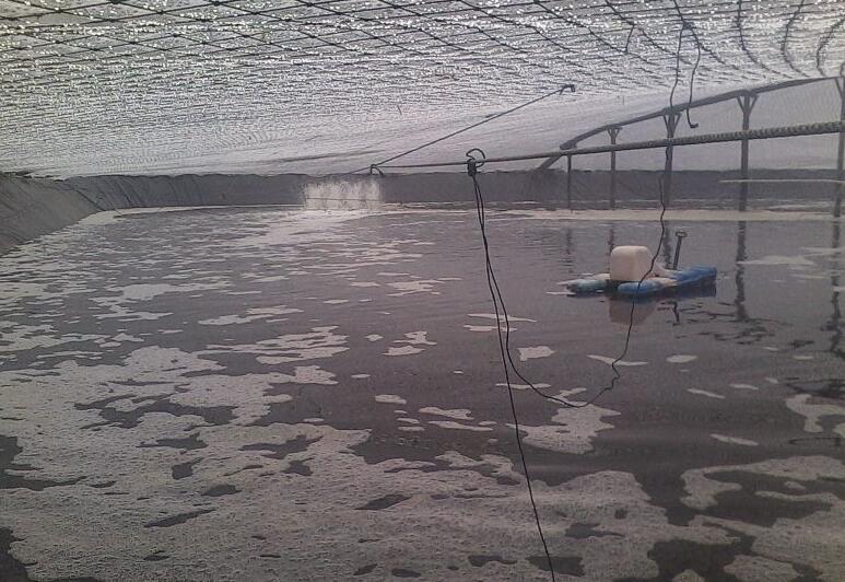 魚(yú)塘修建土工膜和混凝土哪種方法更可靠？